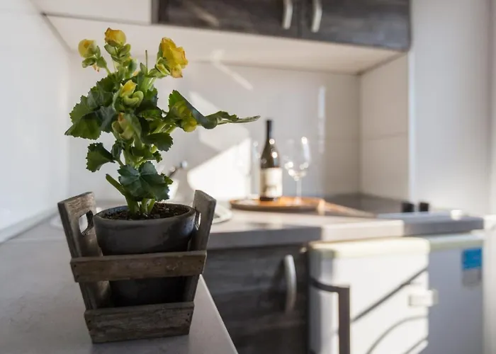 Konukevi Old Town Stylish Rovinj